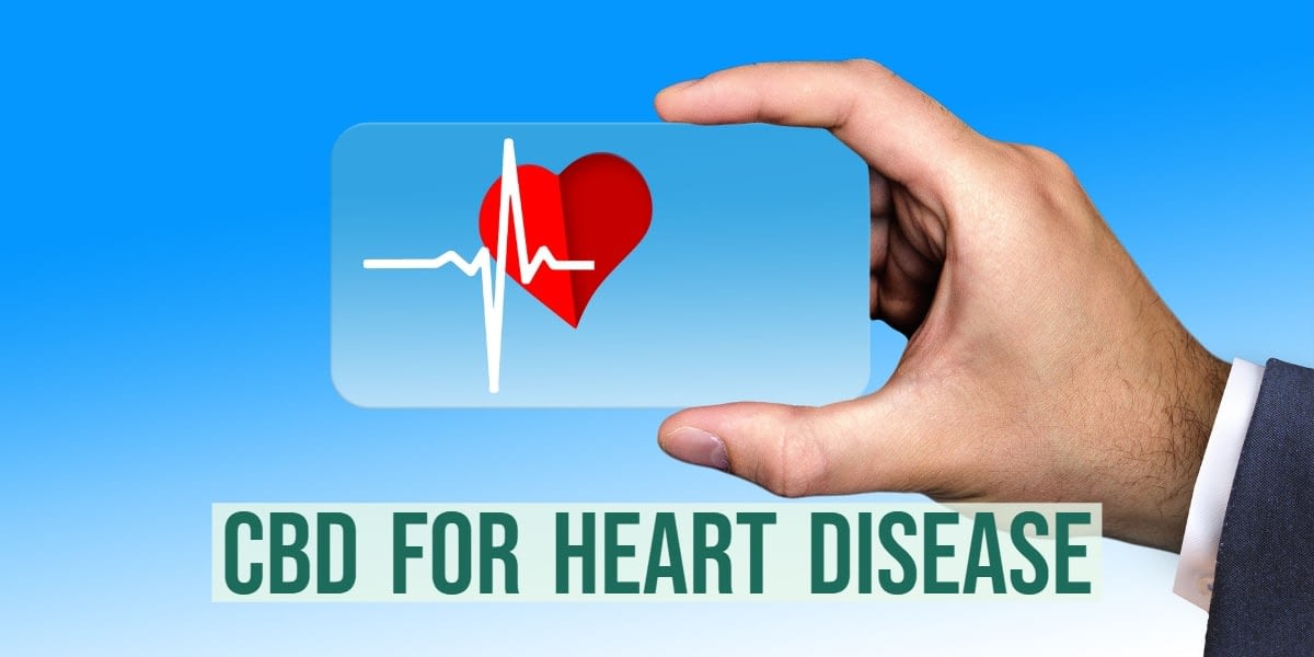 CBD and heart disease in LGBT community
