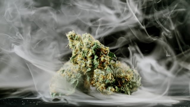 Smokable hemp flower vs marijuana