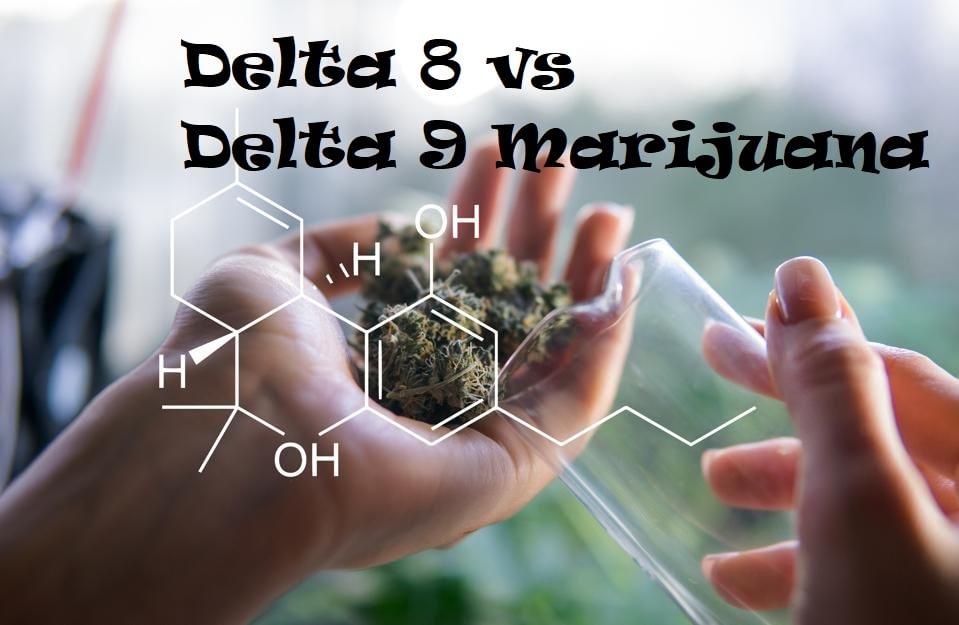 delta 8 and marijuana